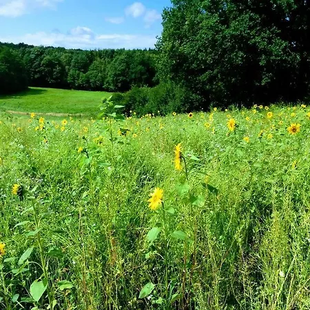 Moderne Im Herzen Der - Ingo's Dream Apartment Babelin