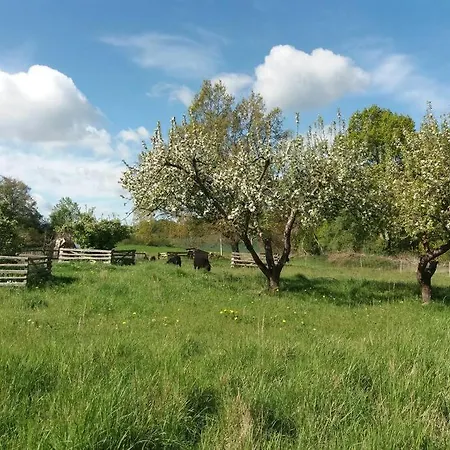 Appartement Moderne Im Herzen Der - Ingo's Dream