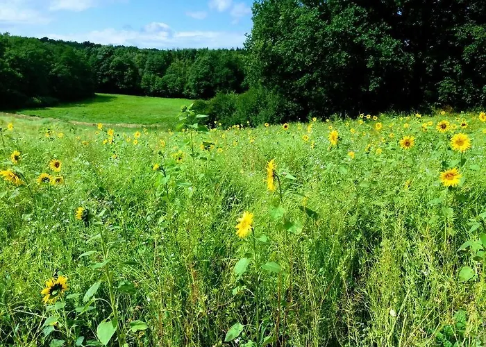 Moderne Im Herzen Der - Ingo's Dream Apartment Babelin