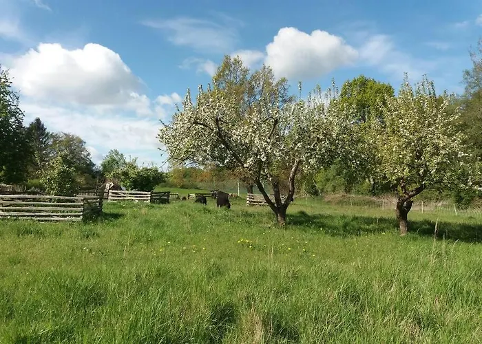 Διαμέρισμα Moderne Im Herzen Der - Ingo's Dream